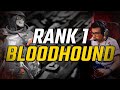 WHEN THE RANK 1 BLOODHOUND PLAYER SOLO QUEUES!!! | Reptar