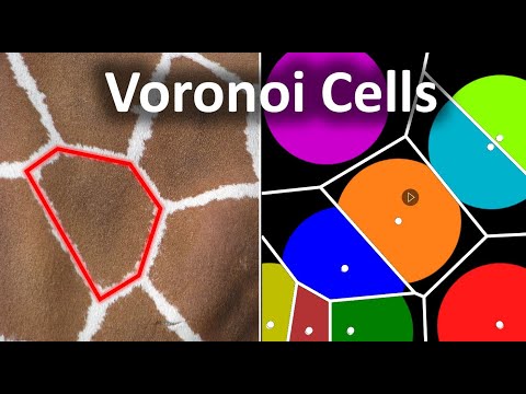 Warum dieses Muster überall in der Natur auftaucht || Voronoi-Zellenmuster