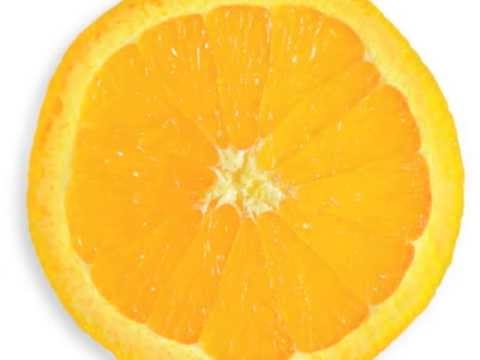 Bright Orange - Relay