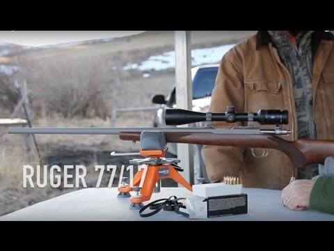 Ruger 77/17
