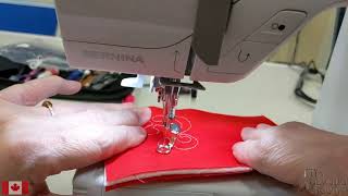 Bernina New User Guide 300 Series Part 5: Free Motion Quilting