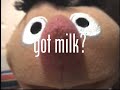 Sesame Street Ernie Got Milk Rare 1998 Commercial Fan Made