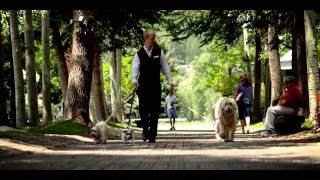 A Dog's Life at The Little Nell