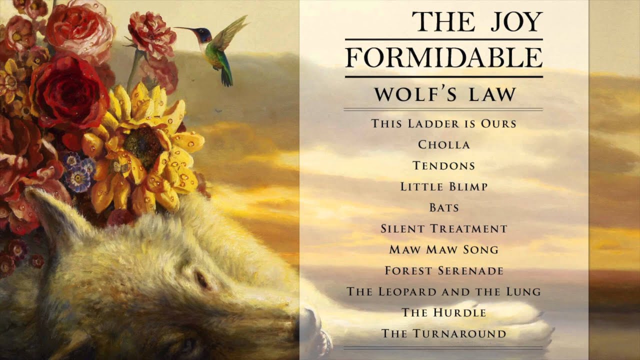 The Joy Formidable - This Ladder Is Ours
