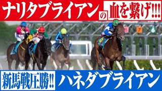 ハネダブライアンが新馬戦を5馬身差で圧勝！