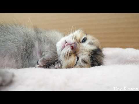 YouTube 썸네일