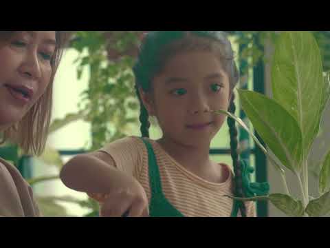 テラスと庭園: プール、噴水、滝をお選びください  庭園