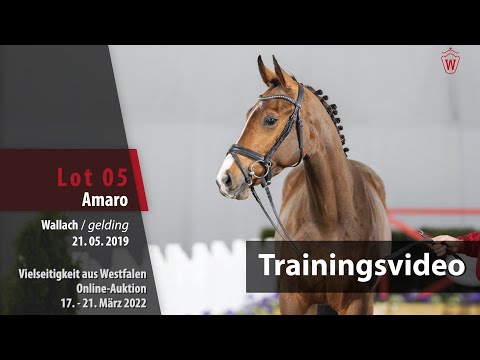 Vielseitigkeit Online-Auktion Training Lot 5 Amaro Wallach v. Alaba - Cascadello II