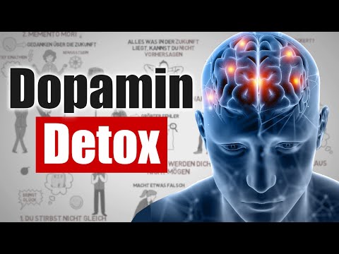 Wie du dein Gehirn austrickst gerne schwere Dinge zu tun (Dopamin Detox)