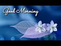 Good Morning Status New Fresh Morning Whatsapp Status 4k Good Morning Video Song Status Shorts