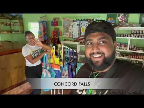 Concord Waterfall & Dragons Bay-Day 6 Vlog
