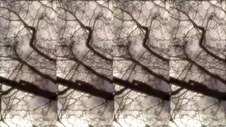 Dick Richards - Output (2001)