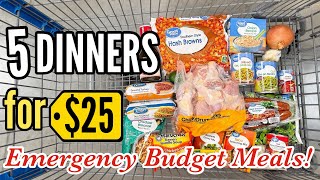 Make 5 EASY Dinners for $25! | Tasty Budget Meals & Walmart Grocery Haul | Julia Pacheco