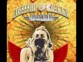 Los de Abajo - Atrapao 