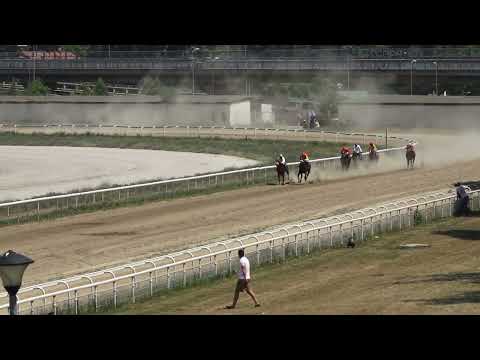 3.7.2022 - I Trka "GRAMIS INVEST" - Hipodrom Beograd