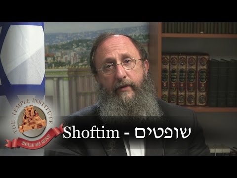 Weekly Torah Portion: Shoftim