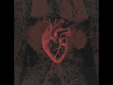 Azxhari x RinoThekidd - Kaze (prod.clozzbeat)