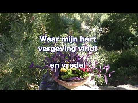 Opwekking 775 Bij het kruis