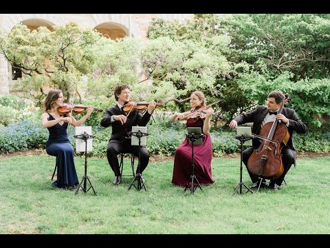 Promotional video thumbnail 3 for Andrea Levine Artists