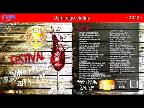 Dragan Ranković - Uzmi cigo violinu - (Audio 2023)