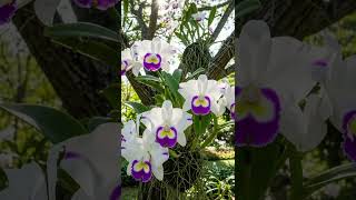 8 de dezembro de 2025