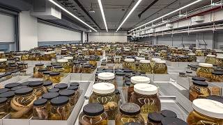 Why Does a Museum Need 30 Million Specimens?