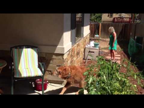 Max 10th Birthday Party