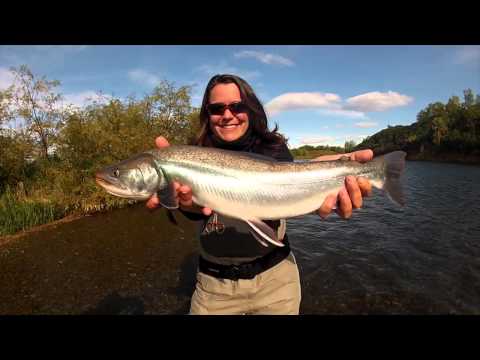 Fishing in Kamchatka