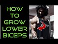 GROW YOUR LOWER BICEPS - Jitender Rajput