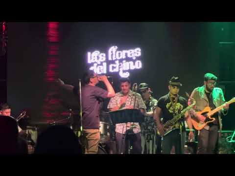 LAS FLORES DEL CHINO EN VIVO NICETO 20/12/25