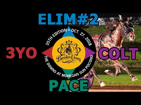 2018 Breeders Crown Elim#2 - ShnitzledoSomethin - 3YO Colt Pace