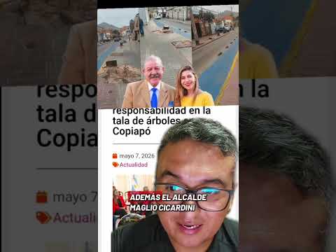 Planificación de Cicardini para desmarcarse de la tala de árboles en Copiapó