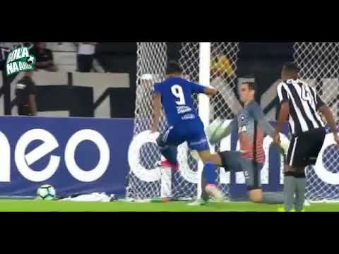 Botafogo x Ponte Preta Gols & Melhores Momentos Brasileirão 21/05/2017 HD