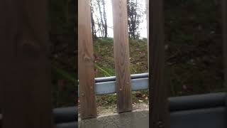 [問題] 巨大躁音可怕之處