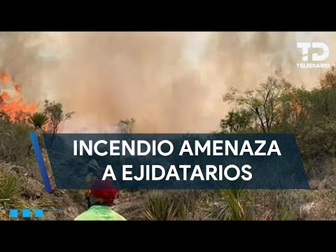 Incendio forestal amenaza a ejidatarios en Doctor Arroyo, Nuevo León