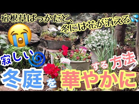 冬に庭で馬糞を使用するにはどうすればよいですか？利点、アドバイス、使用方法  庭園