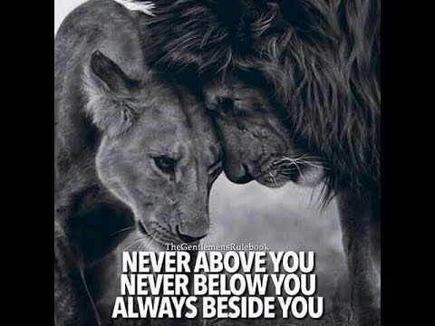 COSMIC ENERGY UPDATE: THE BIG PICTURE IS WHAT HEALS US ALL!!