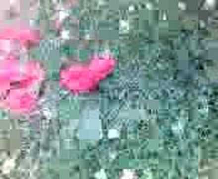 Junge haut in Kacke für 30 Cent