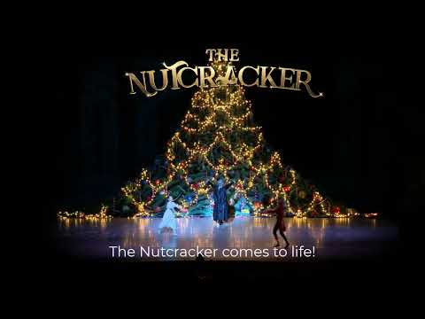 Play Video Youtube Video