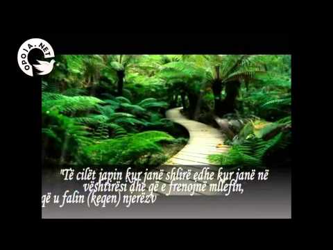 Rruga për në Xhenet - Opoja.Net