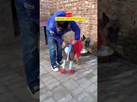 لي شاف شي يقول الله يستر أو لي ضحك يتبلى 🤣