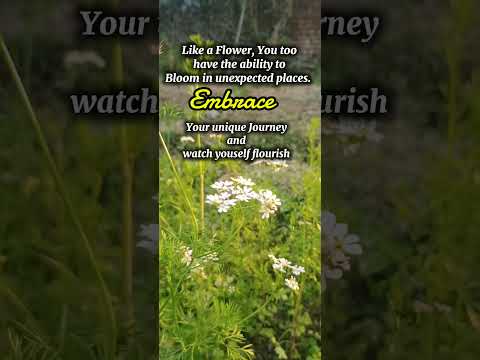 Love yourself 💓#shortsfeed #reel #trending #viral #new #reels #motivation #shorts #song #flowers