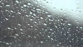 Shannon Wright - black rain