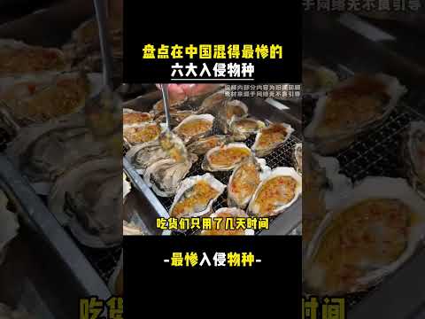 xjr 盤點在中國混得最慘的六大入侵物種！