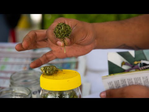 Mexiko will Cannabis legalisieren