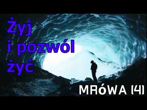 Żyj i pozwól żyć - audiobook pl, fantastyka Cykl Mrówa (4)