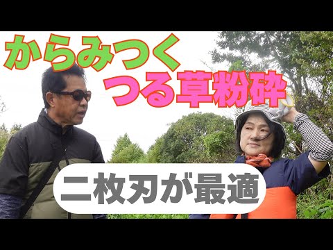 自炊バルコニー:豊作はこうなる 庭の練習