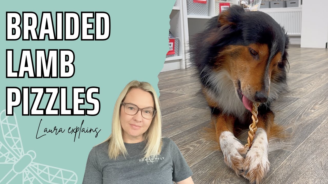 The Benefits of Braided Lamb Pizzles for Dogs | Video