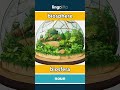 biosphere - biosfera video thumbnail