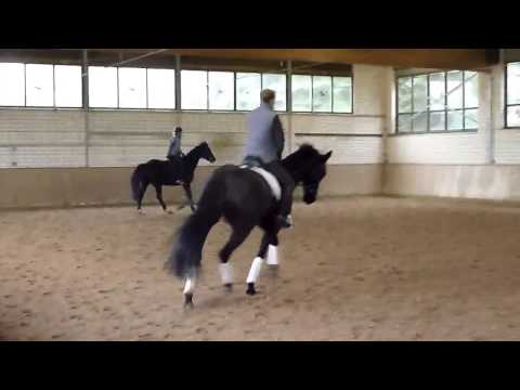 First Dance x His Highness, geb. 2008